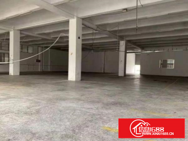 石排沙角村业主直招！业主直招！标准一楼1000平，水电齐全