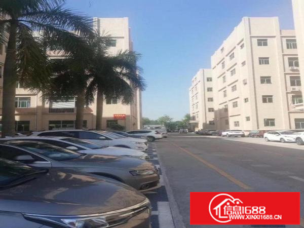 坂田原房东一楼280平258平，2楼1000平，大小分租。