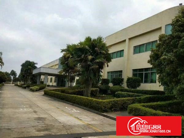 清溪近凤岗新出花园式独院钢构厂房4万平方出租空地大