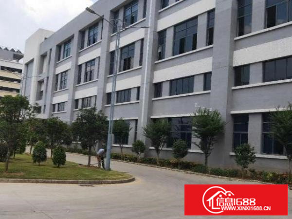 横沥镇适合上市公司或高新产业园个人厂房招租