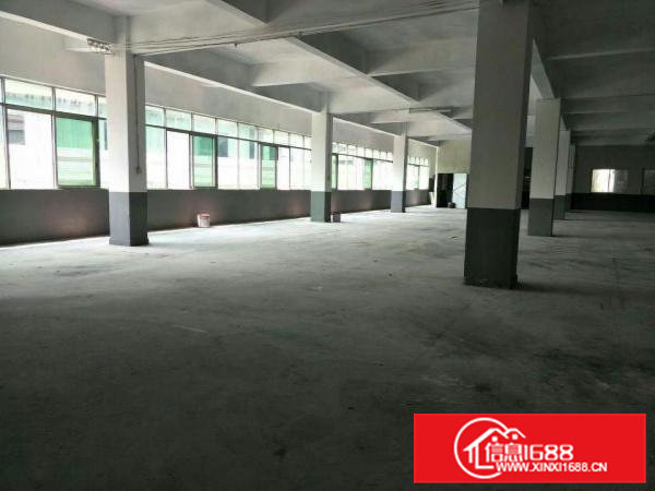 高埗标准一楼或二楼1500平方急租(现成办公室)宿舍按需