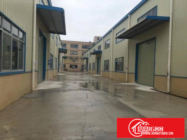 惠州沥林全新钢构2栋，每栋4800平方。滴水8米