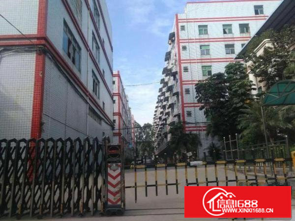 观澜新田环观南路一手房东厂房三楼750平米出租