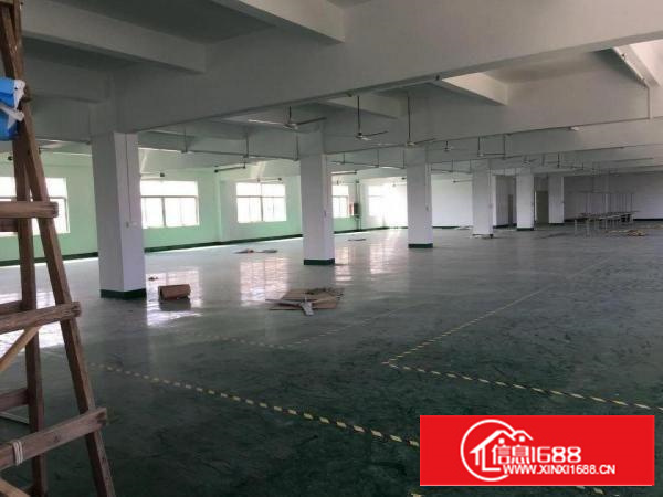 龙岗同乐楼上1400平有地坪漆厂房出租可分租