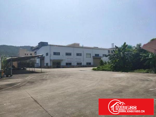 常平新空出原房东小独院单一层钢构3000平方，空地大，位置佳