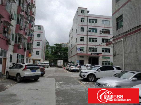 龙岗区龙岗中心城电商公司出租