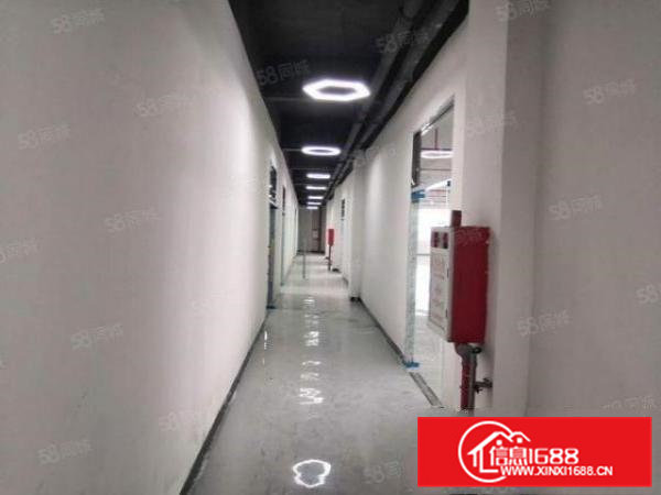 桥头新出原房东标准厂房1到3楼5000平方实际面积无公摊