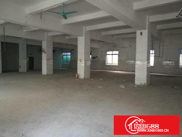 横岗力嘉路三楼整层1650平米靠近新白马商业