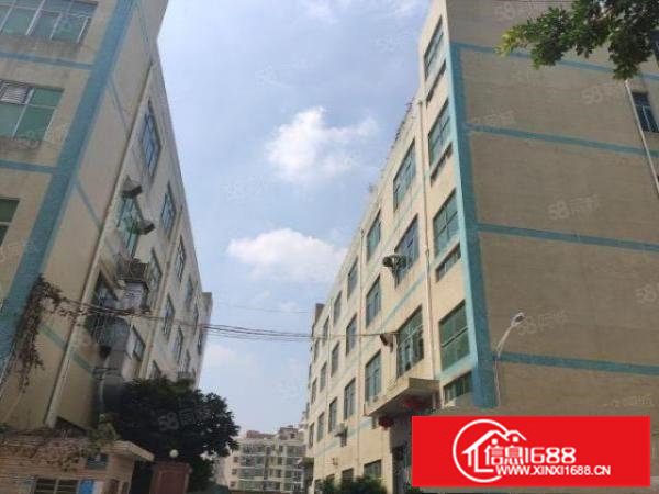 200平分租龙华大浪原房东一楼2000平装修仓库厂房出租转租