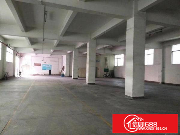 坂田一楼厂房450平米1000平米适合物流吉华路