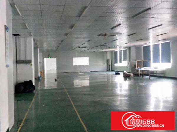 全新龙岗标准厂房出租稳定安全价格实惠大小分租