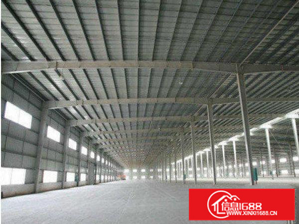 常平九江水单一层仓库3000平米