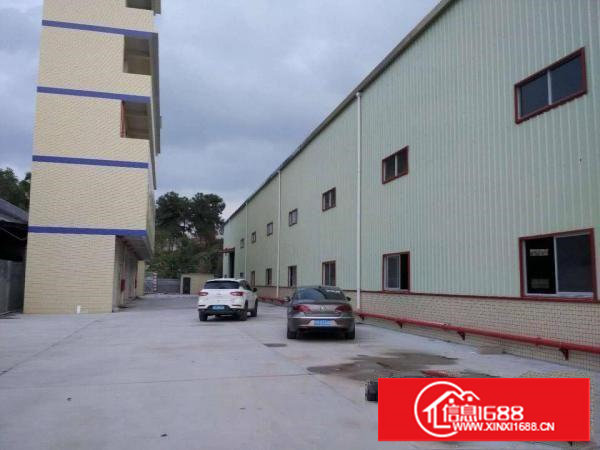 花园街钢构550平方便宜出租，主线到车间采光好