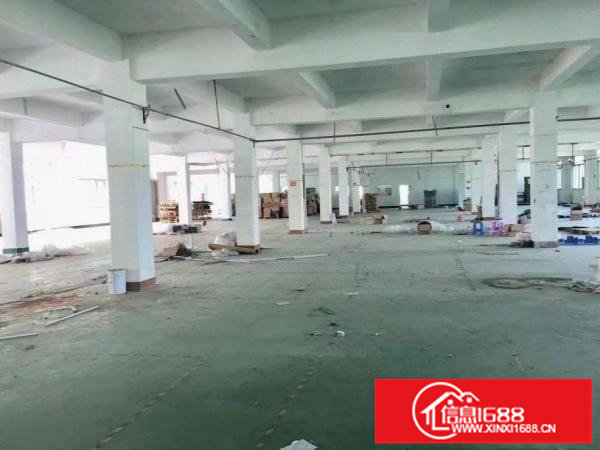 横岗刚出独门独院5000平方厂房出租采光好可分租