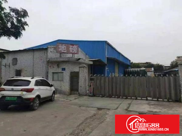 出租桥头单一层2000平方