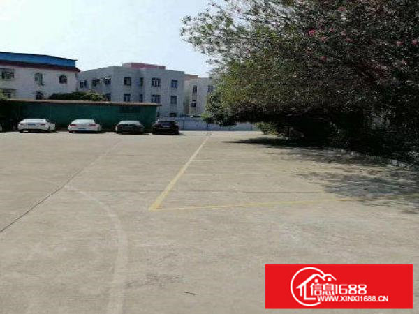 常平漱旧新出一楼楼上各1500平米精装修厂房急租