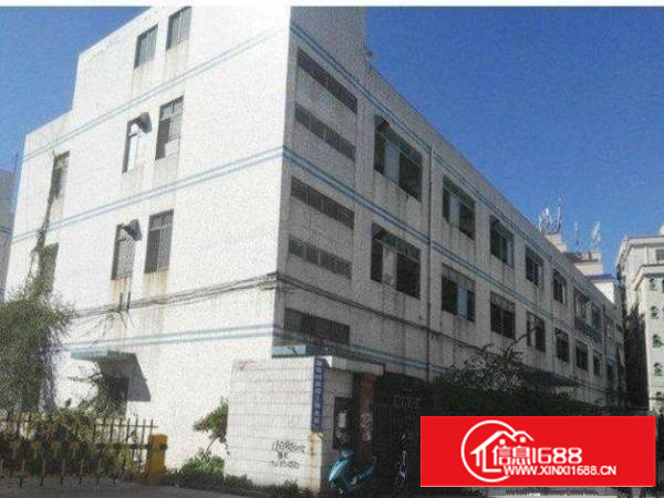 平湖良安一楼700平米标准厂房招租地段好