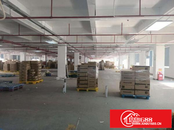 凤岗浸校塘工业园仓库厂房出租楼上整层3300平米可以分租