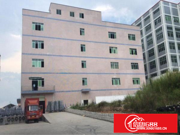 标准五层厂房，地段好。