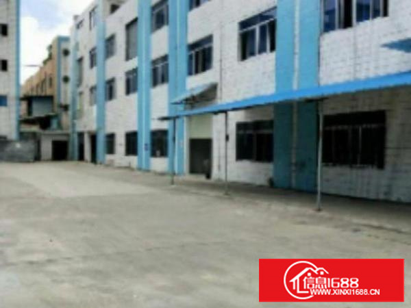 万江标准厂房一楼1500平米出租空地大，水电线路齐全，带办公