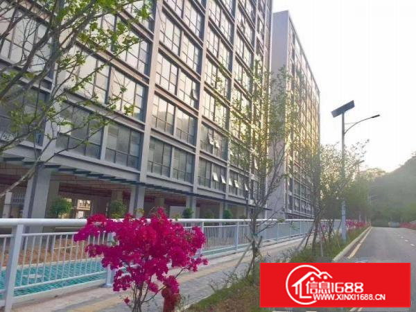 龙岗坪地红本厂房3200平方带双货梯可分租