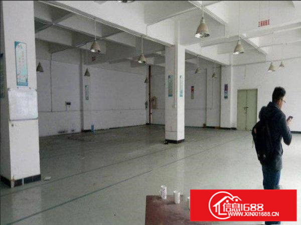 桥头镇邓屋独院标准3楼300平厂房出租停车位充足