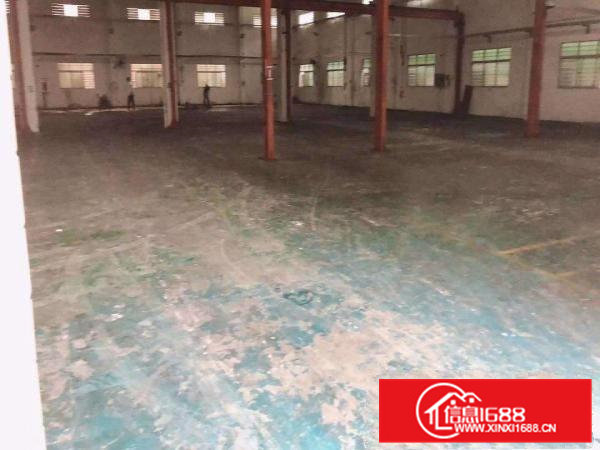 一手房东。无公摊1600平方出租，快拿起电话联系我吧。