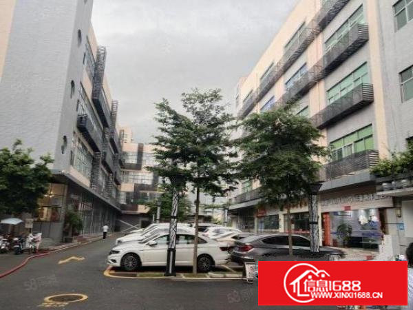 龙岗爱联红本电商产业园3600平方可整租可分租