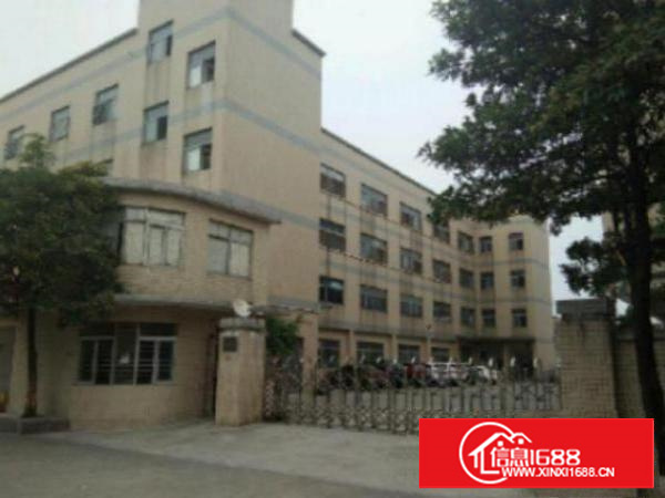 万江一楼600平方厂房出租，现成办公室装修，水电齐全