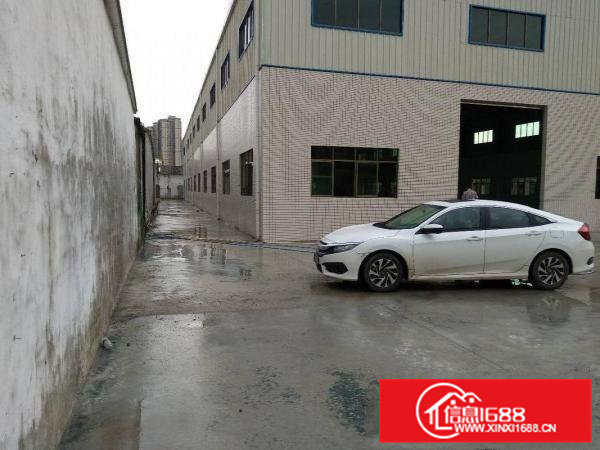 园洲镇独院钢构2600，独立院子600，高9米