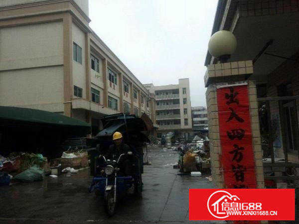 横沥喷油环评标准厂房6000平方豪华装修大空地