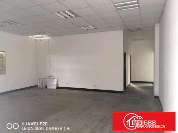 标准一楼出租（带牛角）