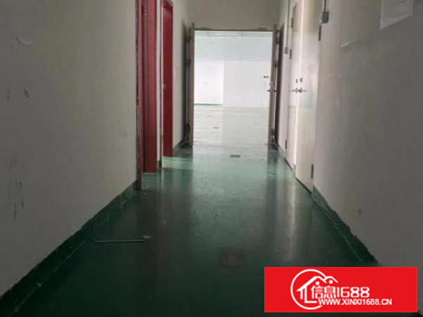 龙华带装修成熟工业园