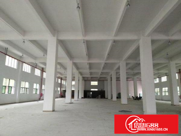 龙门一手房东约40000平方无公摊红本厂房宿舍招租价格实惠