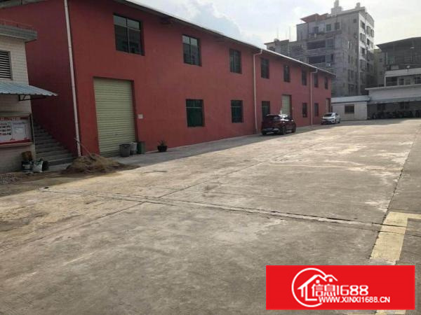 惠州江北全新钢结构1300平方高6米