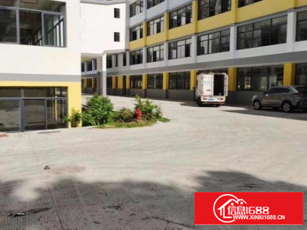 荔枝花园中心地段招租写字楼，商业旺铺，5000平大小面积分