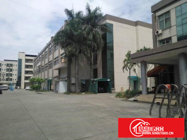 横沥端午节业主低价厂房8000平米招租