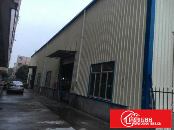 清溪镇新出钢构一楼500平方出租