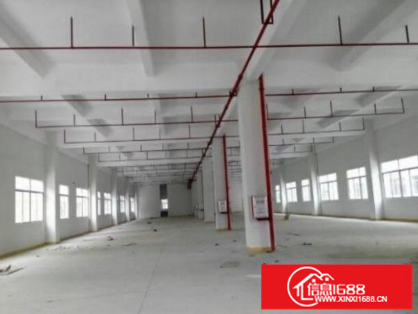 坪山大工业区楼上1800平招租有红本可申请补贴
