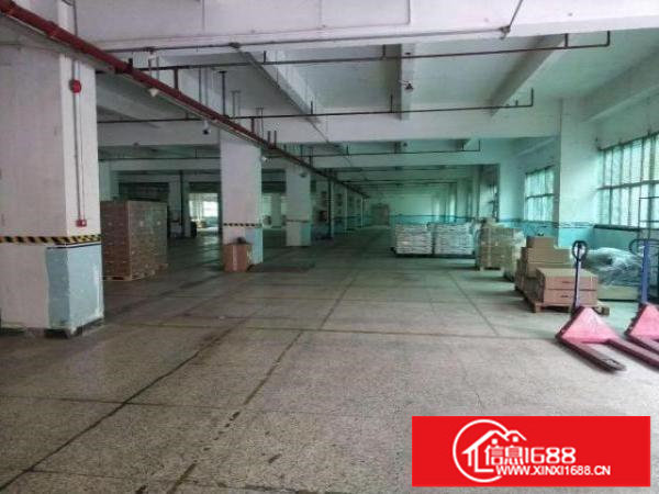 横岗六约一楼厂房1200平方带现成装修红本消防合格