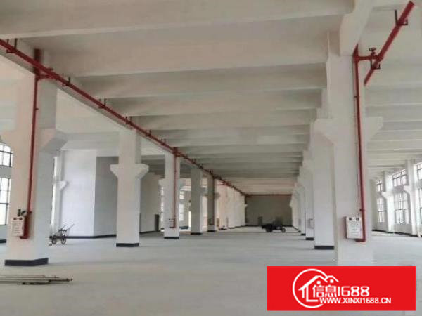 三中新出，独门独院，13000平方出租，大小可分租