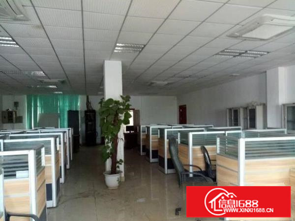 常平苏坑独门独院2500平米标准厂房招租带装修