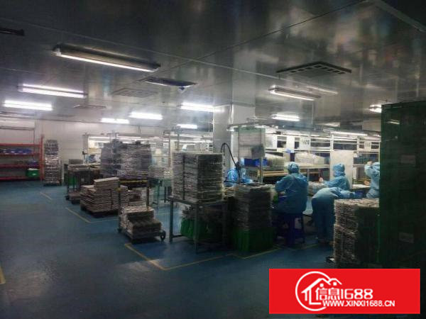 东莞市虎门镇及周边镇区原房东厂房出租，一手房东独院厂房招租