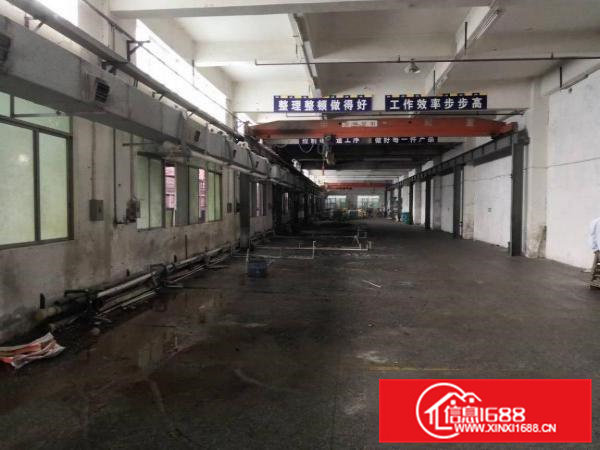 成熟工业区标准厂房一楼1000平方米出租