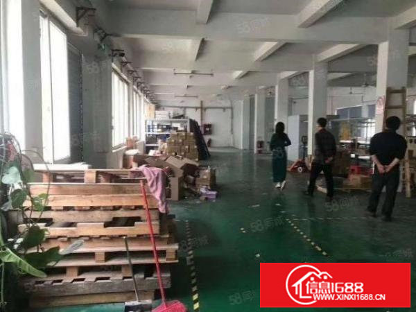 坪山坑梓龙田大工业园带装修一楼厂房出租860平红本面积出租