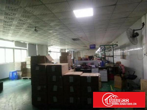 西乡九围簕竹角鹤洲附近带装修厂房整层1900平米