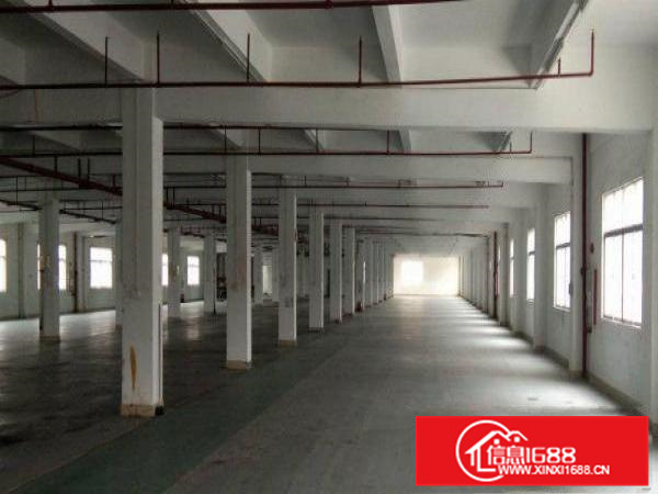 惠州三栋原房东红本厂房二楼900平出租（可分租）