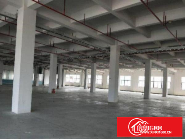 高埗标准厂房楼上2楼2000平方带办公室装修出租合做制衣、电