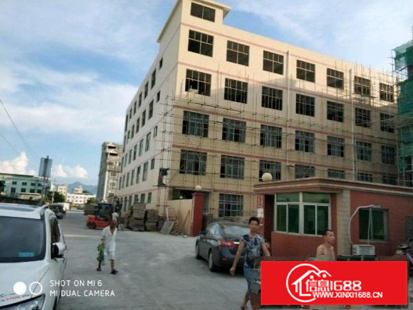 陈江国道旁边工业园区标准厂房仓库25000平米