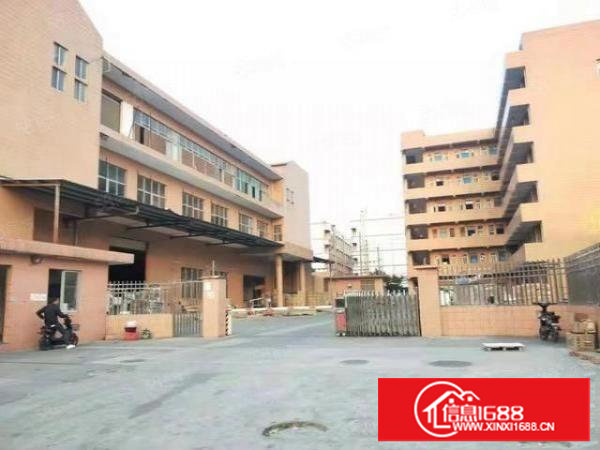 长安乌沙独院厂房9200宿舍2800平出租可分租